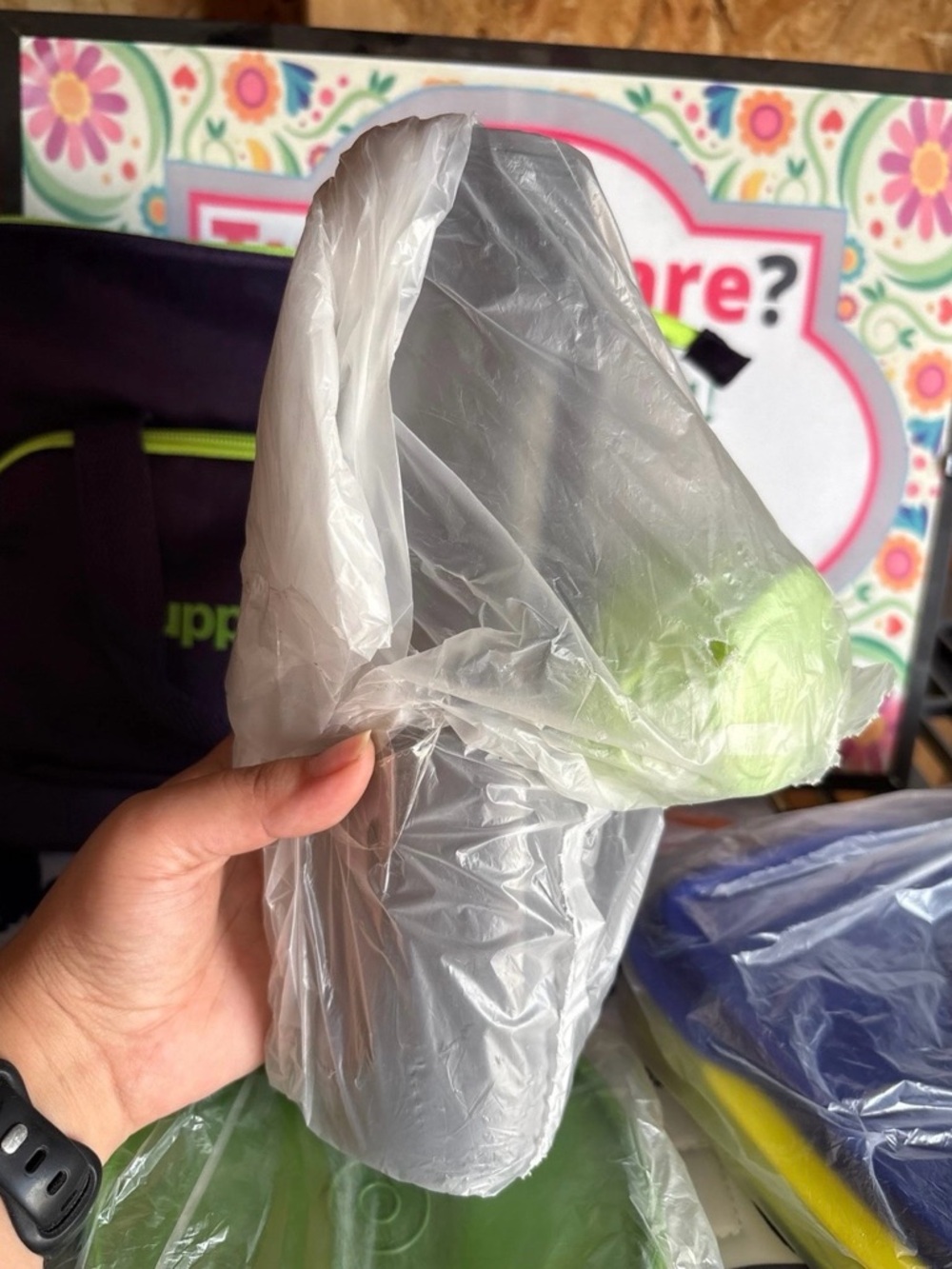 Tupperware Lunch Set - Picture 4 of 8